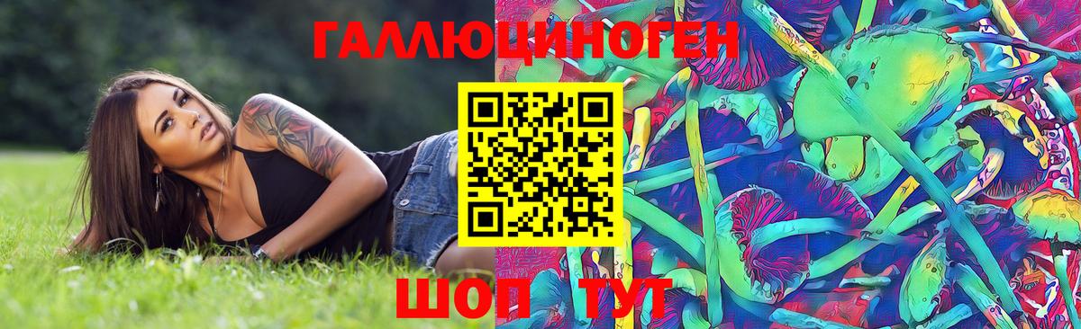 Псилоцибиновые грибы Cubensis Калач-на-Дону