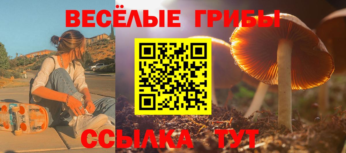 Псилоцибиновые грибы MAGIC MUSHROOMS  Вход с VPN  Псилоцибиновые грибы мухоморы  Калач-на-Дону 
